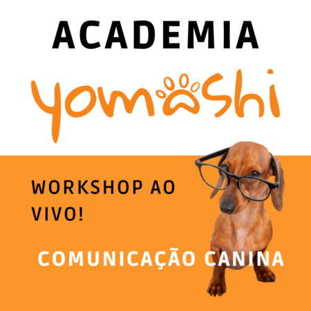 Academia Yomashi - Imagem Workshop